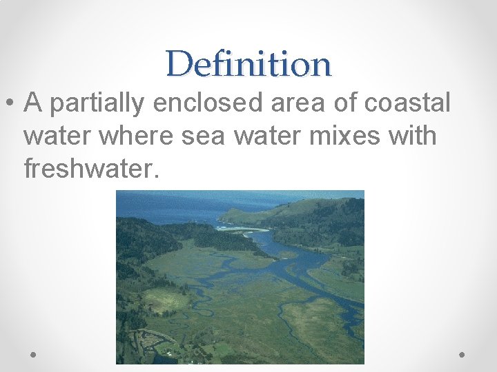 Definition • A partially enclosed area of coastal water where sea water mixes with