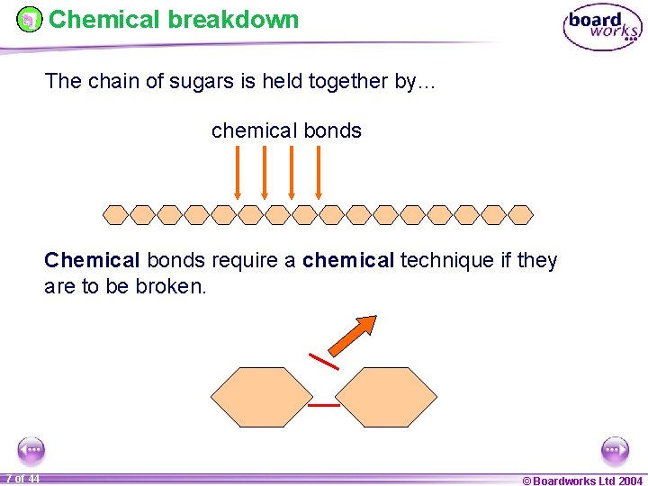 Topic 9 7 Digestion Part One 1 of