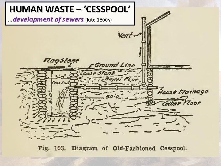 HUMAN WASTE – ‘CESSPOOL’ …development of sewers (late 1800 s) 