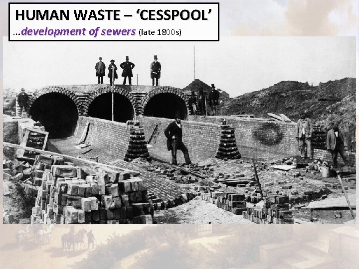 HUMAN WASTE – ‘CESSPOOL’ …development of sewers (late 1800 s) 