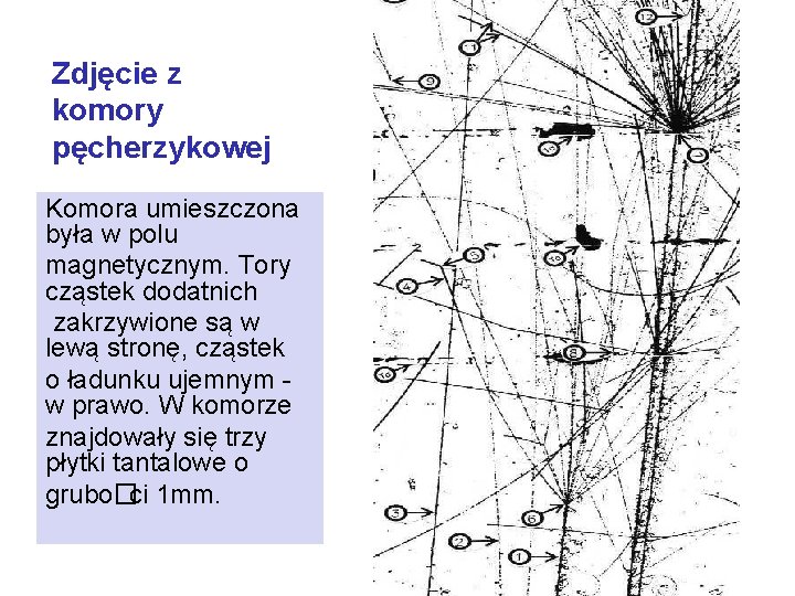 Zdjęcie z komory pęcherzykowej Komora umieszczona była w polu magnetycznym. Tory cząstek dodatnich zakrzywione