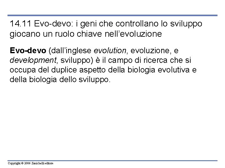 14. 11 Evo-devo: i geni che controllano lo sviluppo giocano un ruolo chiave nell’evoluzione