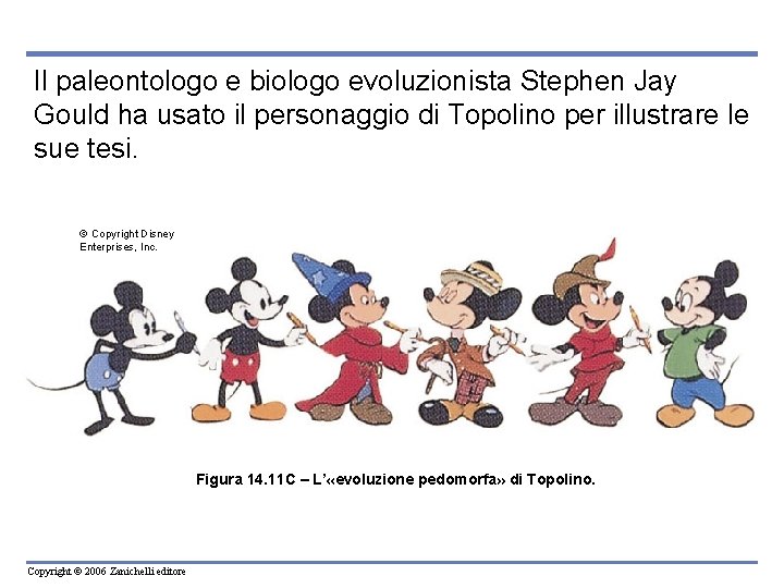 Il paleontologo e biologo evoluzionista Stephen Jay Gould ha usato il personaggio di Topolino