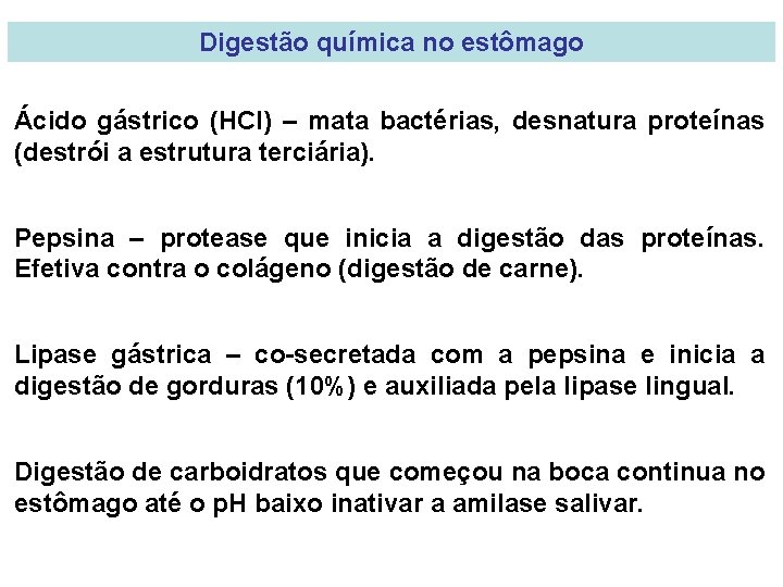 Digestão química no estômago Ácido gástrico (HCl) – mata bactérias, desnatura proteínas (destrói a