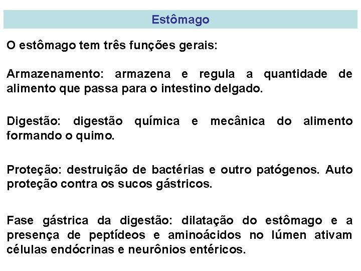 Estômago O estômago tem três funções gerais: Armazenamento: armazena e regula a quantidade de