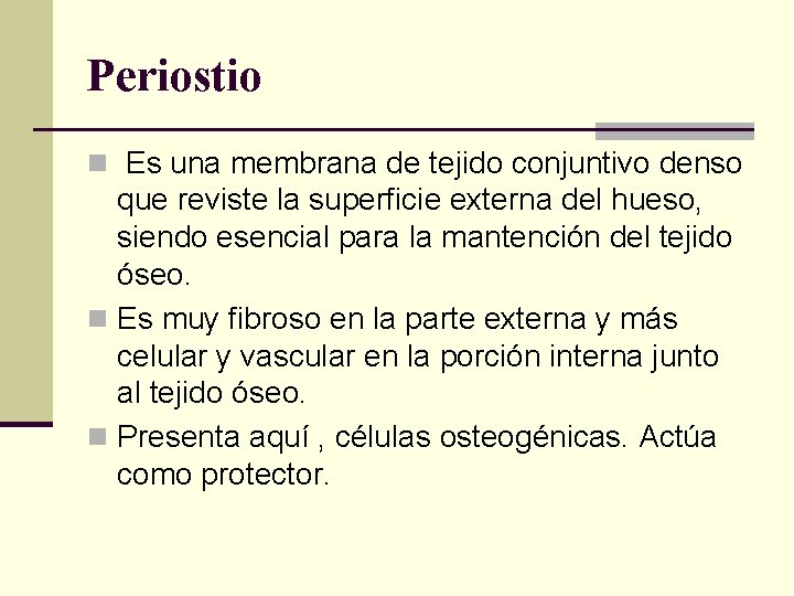 Periostio n Es una membrana de tejido conjuntivo denso que reviste la superficie externa