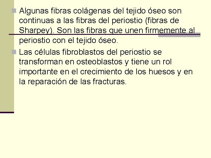 n Algunas fibras colágenas del tejido óseo son continuas a las fibras del periostio