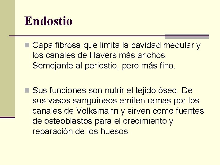 Endostio n Capa fibrosa que limita la cavidad medular y los canales de Havers