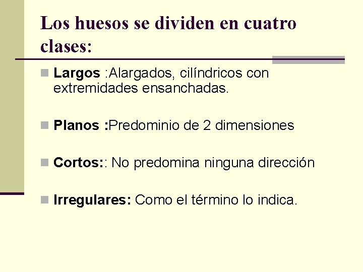 Los huesos se dividen en cuatro clases: n Largos : Alargados, cilíndricos con extremidades