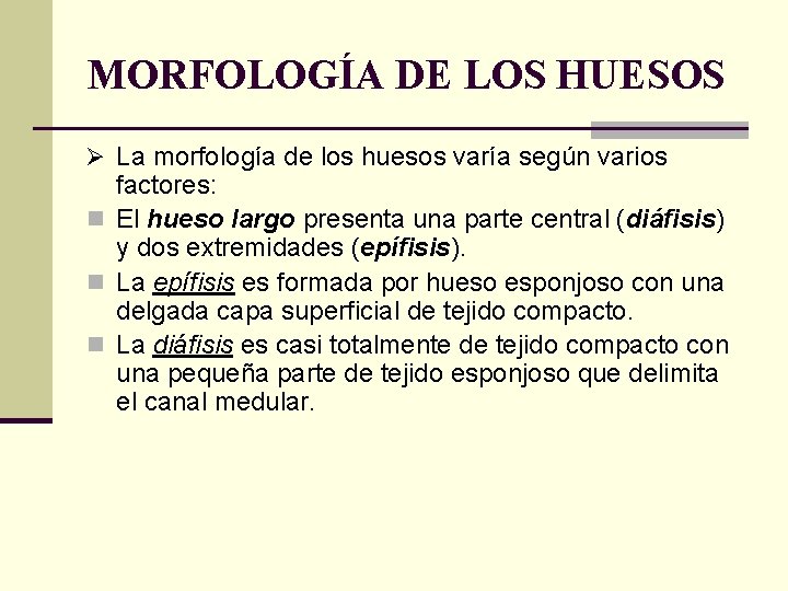 MORFOLOGÍA DE LOS HUESOS Ø La morfología de los huesos varía según varios factores: