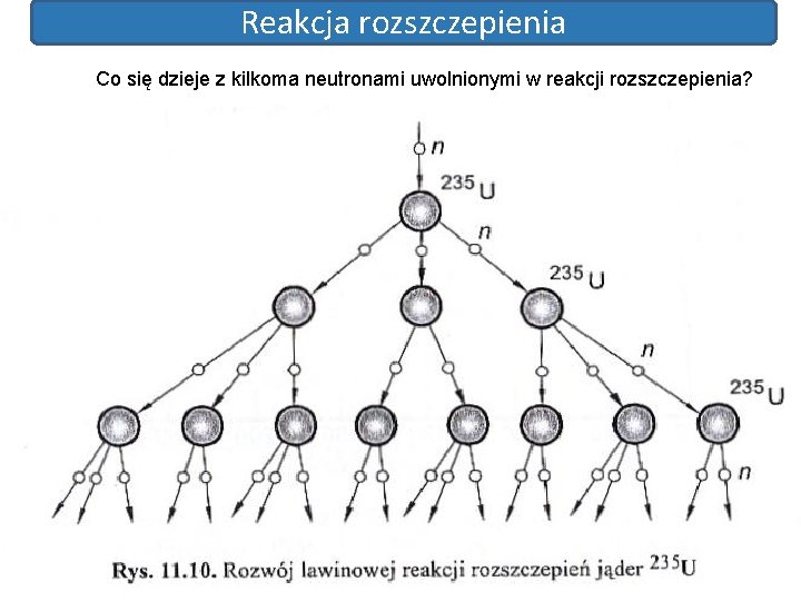 Reakcja rozszczepienia Co się dzieje z kilkoma neutronami uwolnionymi w reakcji rozszczepienia? 