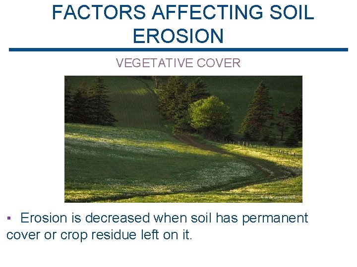 FACTORS AFFECTING SOIL EROSION VEGETATIVE COVER ▪ Erosion is decreased when soil has permanent