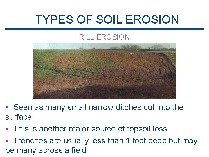 TYPES OF SOIL EROSION RILL EROSION ▪ Seen as many small narrow ditches cut