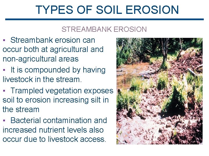 TYPES OF SOIL EROSION STREAMBANK EROSION ▪ Streambank erosion can occur both at agricultural