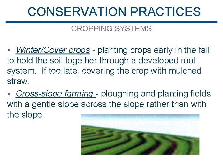 CONSERVATION PRACTICES CROPPING SYSTEMS ▪ Winter/Cover crops - planting crops early in the fall