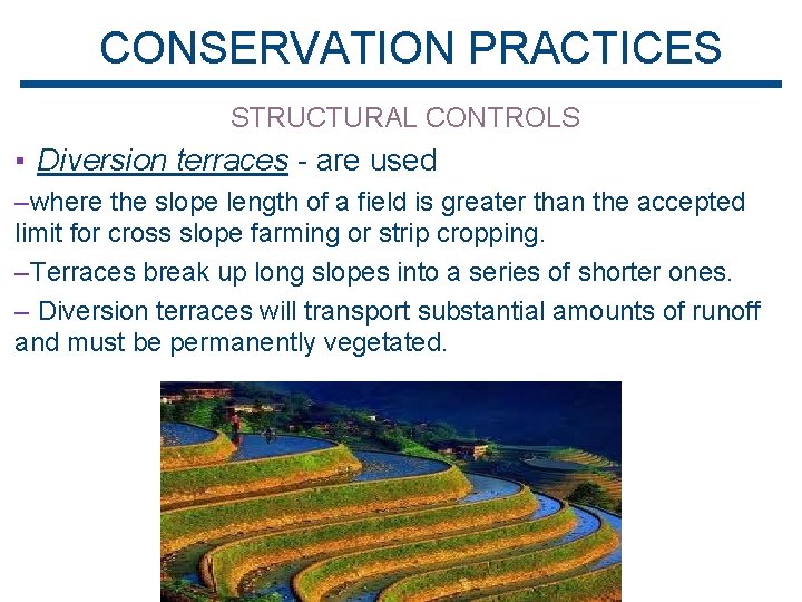 CONSERVATION PRACTICES STRUCTURAL CONTROLS ▪ Diversion terraces - are used –where the slope length