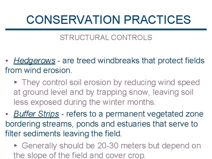 CONSERVATION PRACTICES STRUCTURAL CONTROLS ▪ Hedgerows - are treed windbreaks that protect fields from