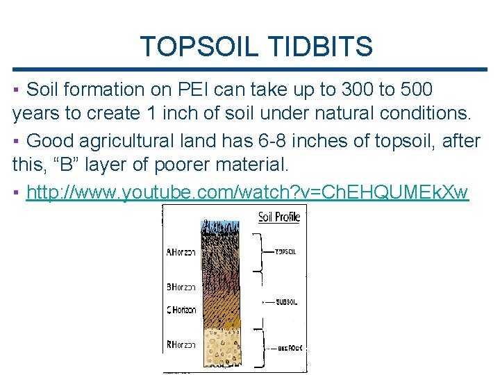 TOPSOIL TIDBITS ▪ Soil formation on PEI can take up to 300 to 500