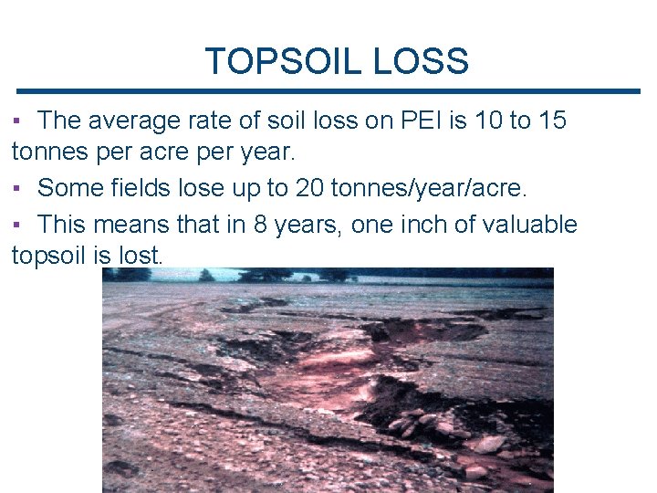 TOPSOIL LOSS ▪ The average rate of soil loss on PEI is 10 to