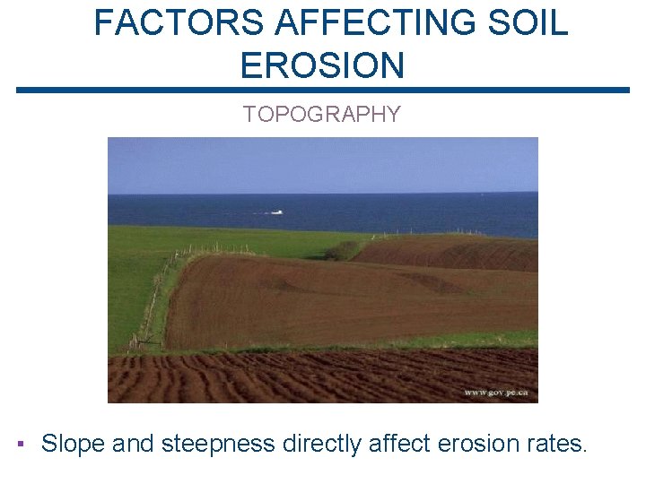 FACTORS AFFECTING SOIL EROSION TOPOGRAPHY ▪ Slope and steepness directly affect erosion rates. 