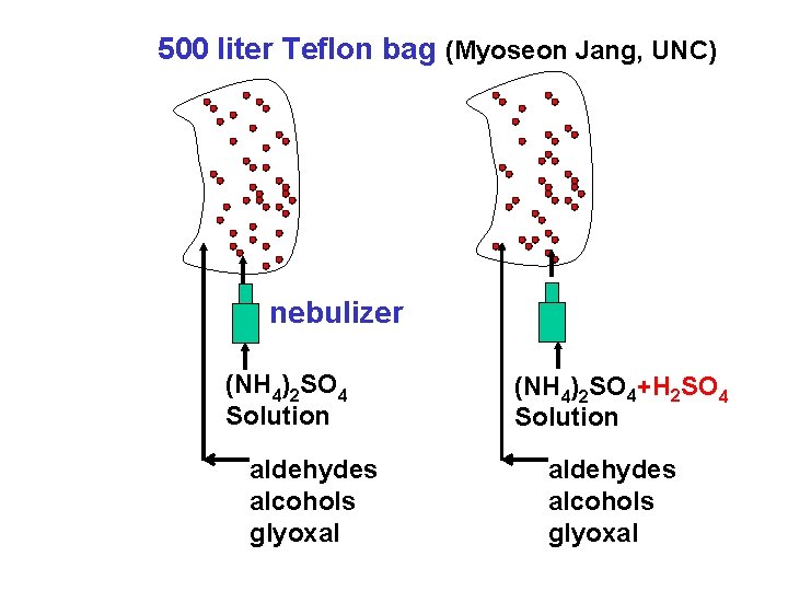 500 liter Teflon bag (Myoseon Jang, UNC) nebulizer (NH 4)2 SO 4 Solution (NH