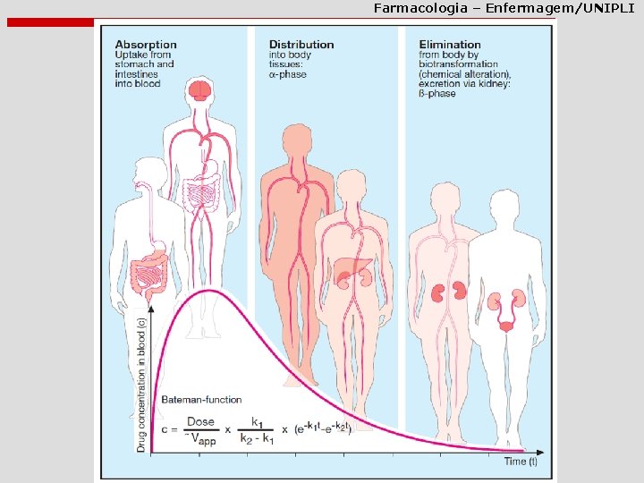 Farmacologia – Enfermagem/UNIPLI 