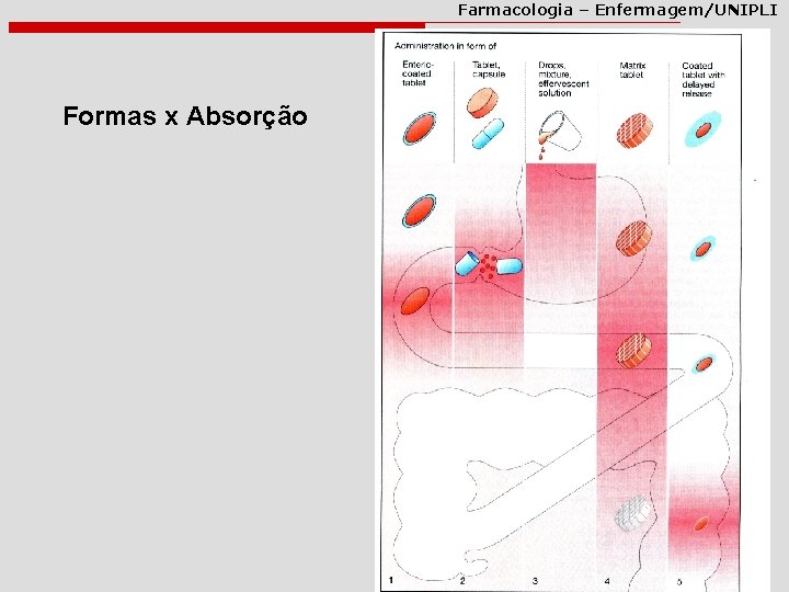 Farmacologia – Enfermagem/UNIPLI Formas x Absorção 