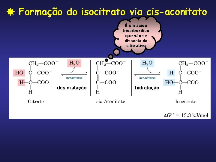  Formação do isocitrato via cis-aconitato É um ácido tricarboxílico que não se dissocia