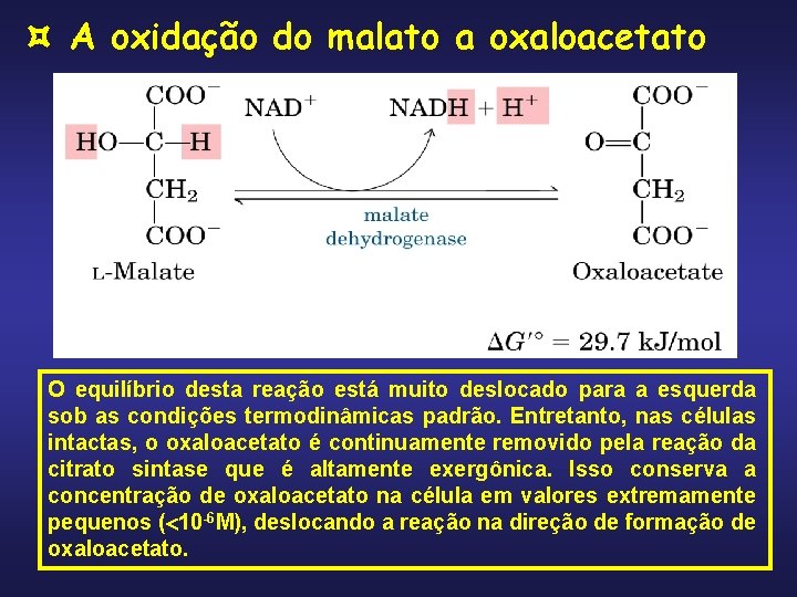  A oxidação do malato a oxaloacetato O equilíbrio desta reação está muito deslocado