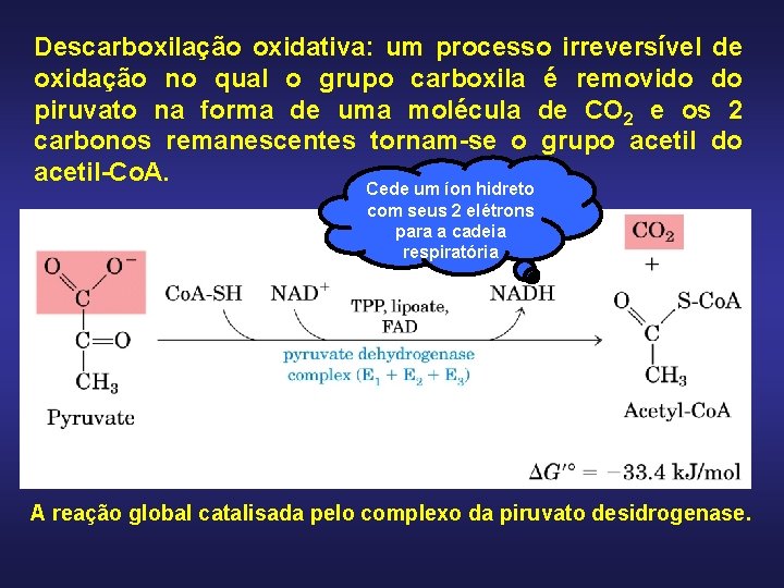 Descarboxilação oxidativa: um processo irreversível de oxidação no qual o grupo carboxila é removido