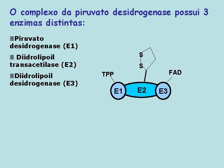 O complexo da piruvato desidrogenase possui 3 enzimas distintas: 3 Piruvato desidrogenase (E 1)
