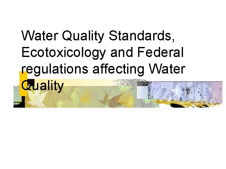 Water Quality Standards, Ecotoxicology and Federal regulations affecting Water Quality 
