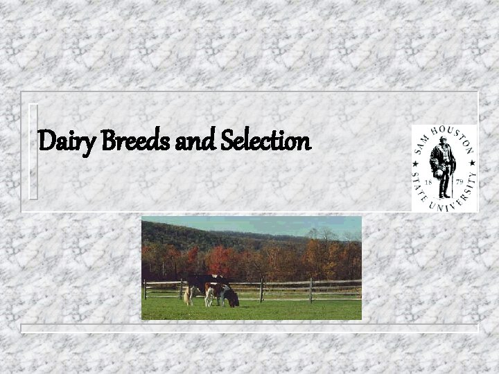 Dairy Breeds and Selection 