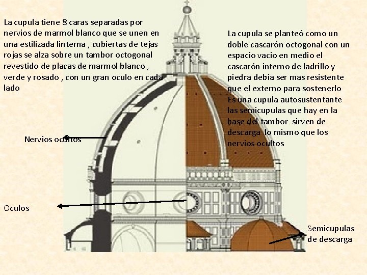 La cupula tiene 8 caras separadas por nervios de marmol blanco que se unen