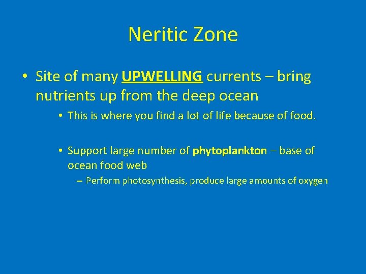 Neritic Zone • Site of many UPWELLING currents – bring nutrients up from the