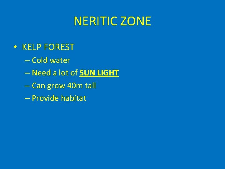 NERITIC ZONE • KELP FOREST – Cold water – Need a lot of SUN