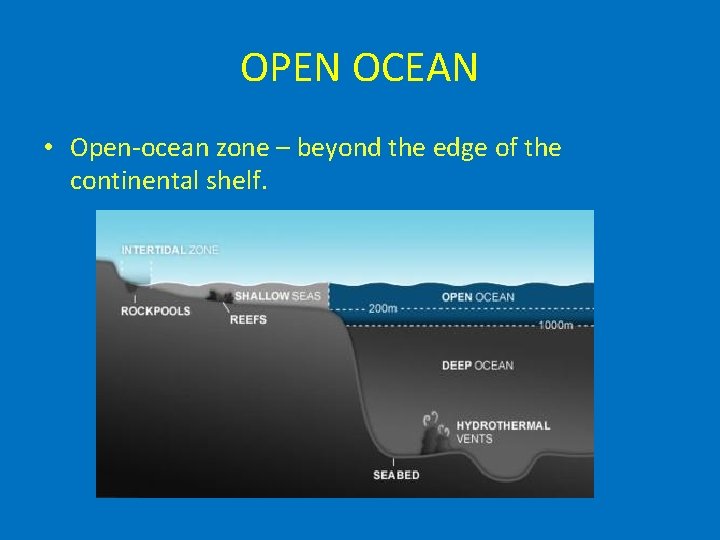 OPEN OCEAN • Open-ocean zone – beyond the edge of the continental shelf. 