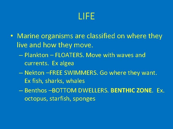 LIFE • Marine organisms are classified on where they live and how they move.