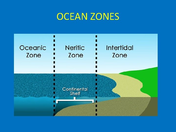 OCEAN ZONES 