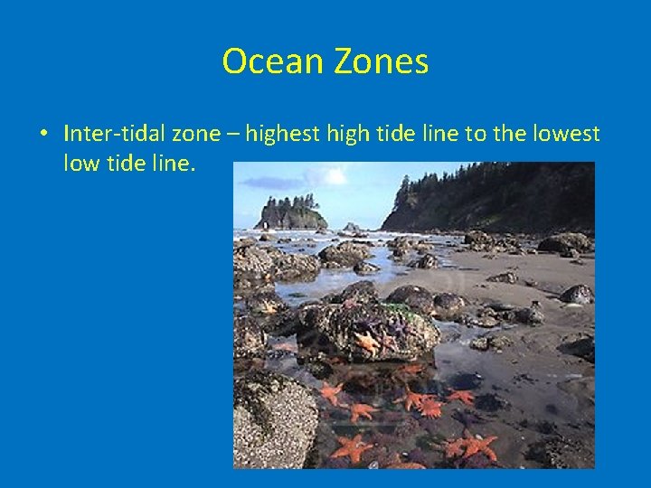 Ocean Zones • Inter-tidal zone – highest high tide line to the lowest low