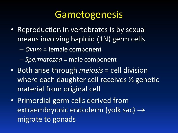 Gametogenesis • Reproduction in vertebrates is by sexual means involving haploid (1 N) germ