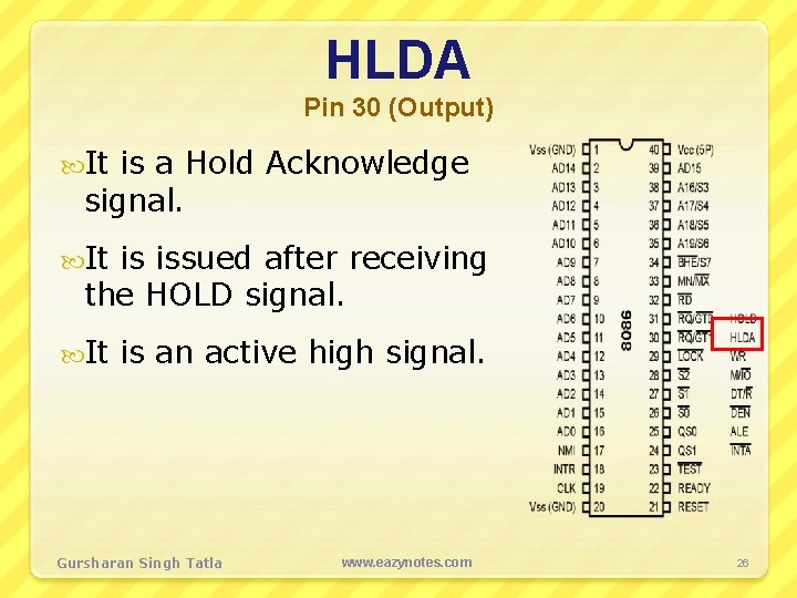 HLDA Pin 30 (Output) It is a Hold Acknowledge signal. It is issued after