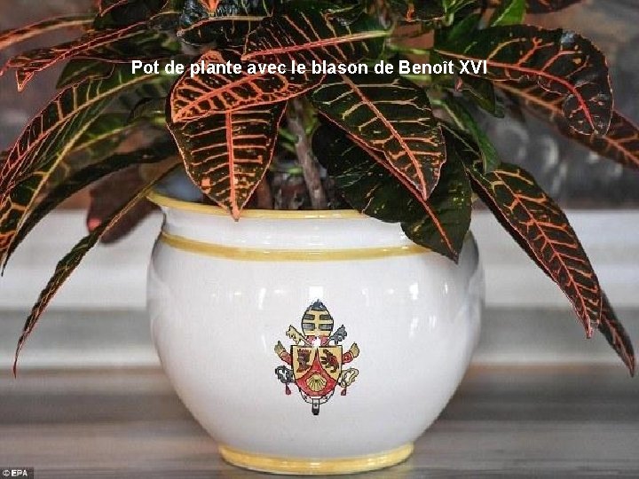 Pot de plante avec le blason de Benoît XVI 