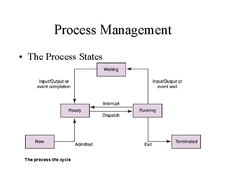 Process Management • The Process States The process life cycle 