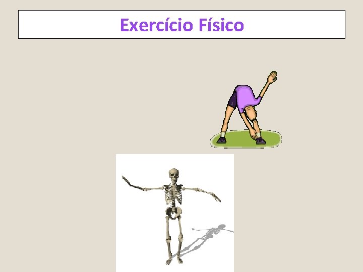 Exercício Físico 