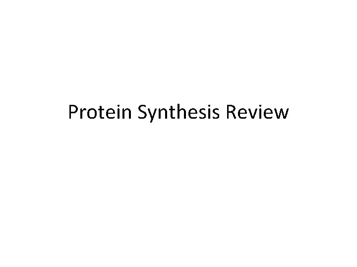 Protein Synthesis Review 
