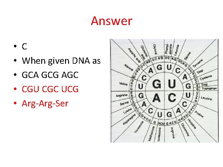 Answer • • • C When given DNA as GCA GCG AGC CGU CGC