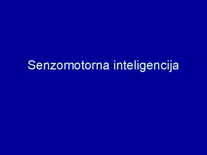 Senzomotorna inteligencija 