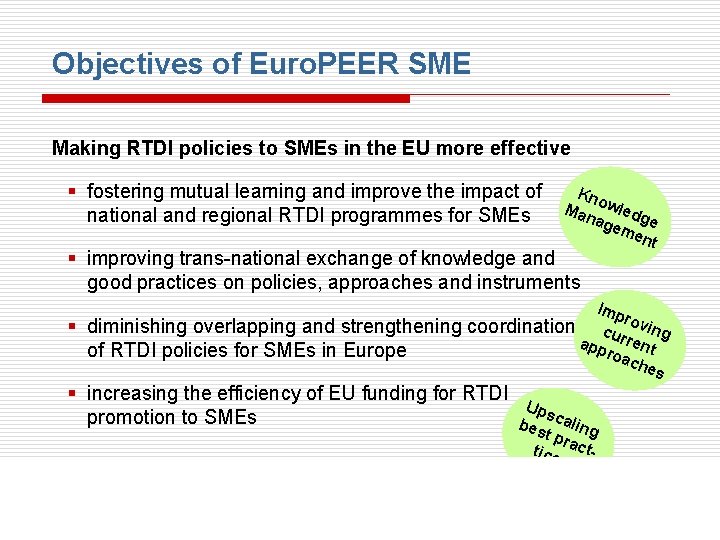 Objectives of Euro. PEER SME Making RTDI policies to SMEs in the EU more