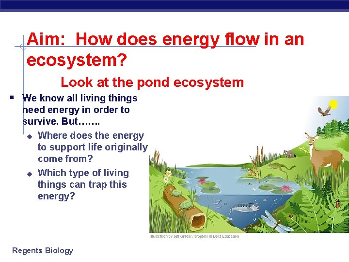 Aim: How does energy flow in an ecosystem? Look at the pond ecosystem §